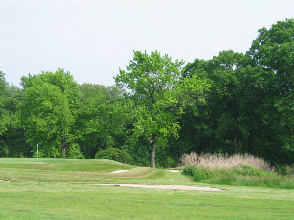 306-0621_IMG.JPG